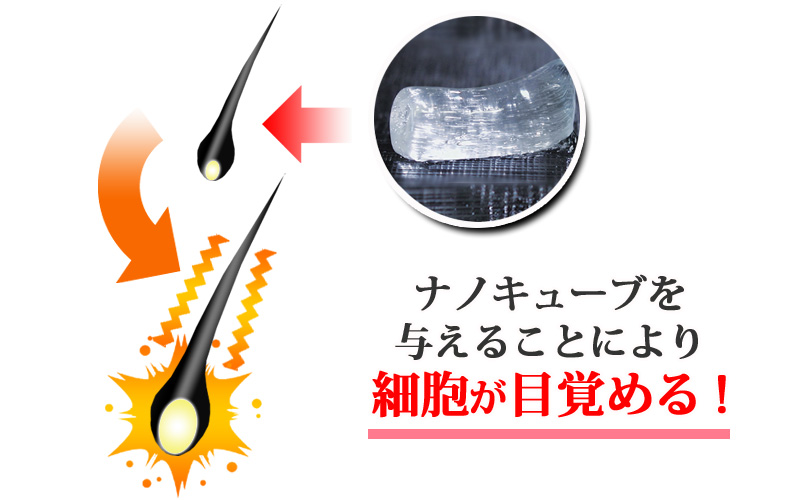 ナノキューブを与えることにより細胞が目覚める!
