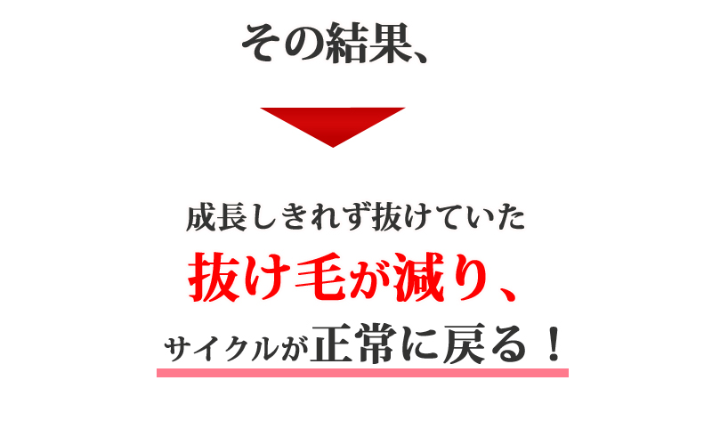 その結果成長しきれず抜けていた抜け毛が減り、ヘアーサイクルが正常に戻る！