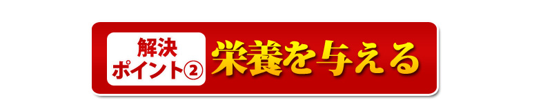 解決ポイント②栄養を与える