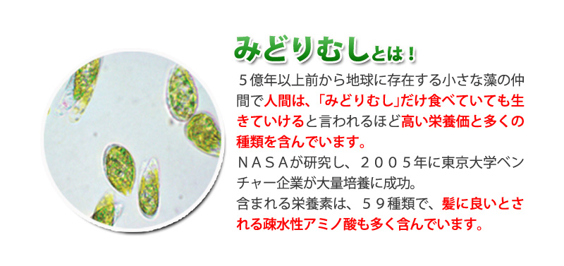 みどりむしとは、５億年以上前から地球に存在する小さな藻の仲間で人間は、｢みどりむし｣だけ食べていても生きていけると言われるほど高い栄養価と多くの種類を含んでいます。ＮＡＳＡが研究し、２００５年に東京大学ベンチャー企業が大量培養に成功。含まれる栄養素は、５９種類で、髪に良いとされる疎水性アミノ酸も多く含んでいます。
