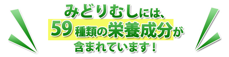 みどりむしには59種類の栄養成分が含まれています。