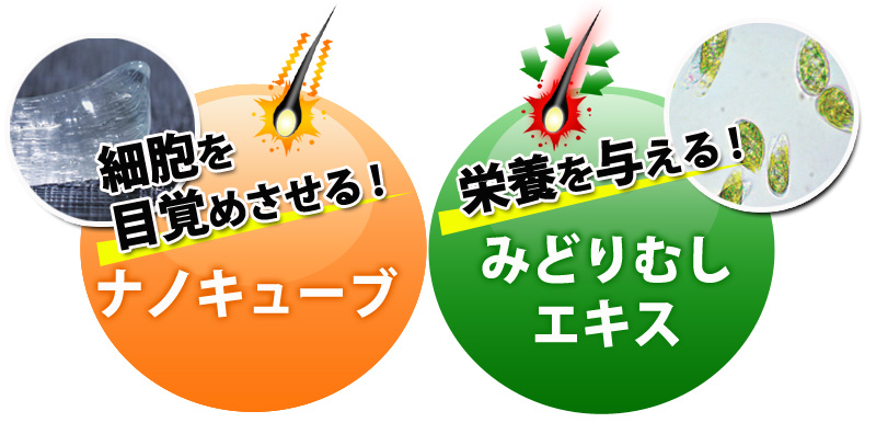 細胞を目覚させる!ナノキューブ 栄養を与える!みどりむしエキス