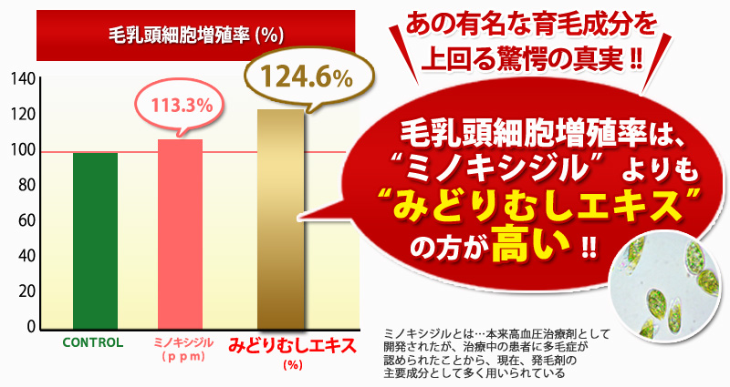 毛乳頭細胞増殖率は、「ミノキシジル」よりも「みどりむしエキス」の方が高い!!